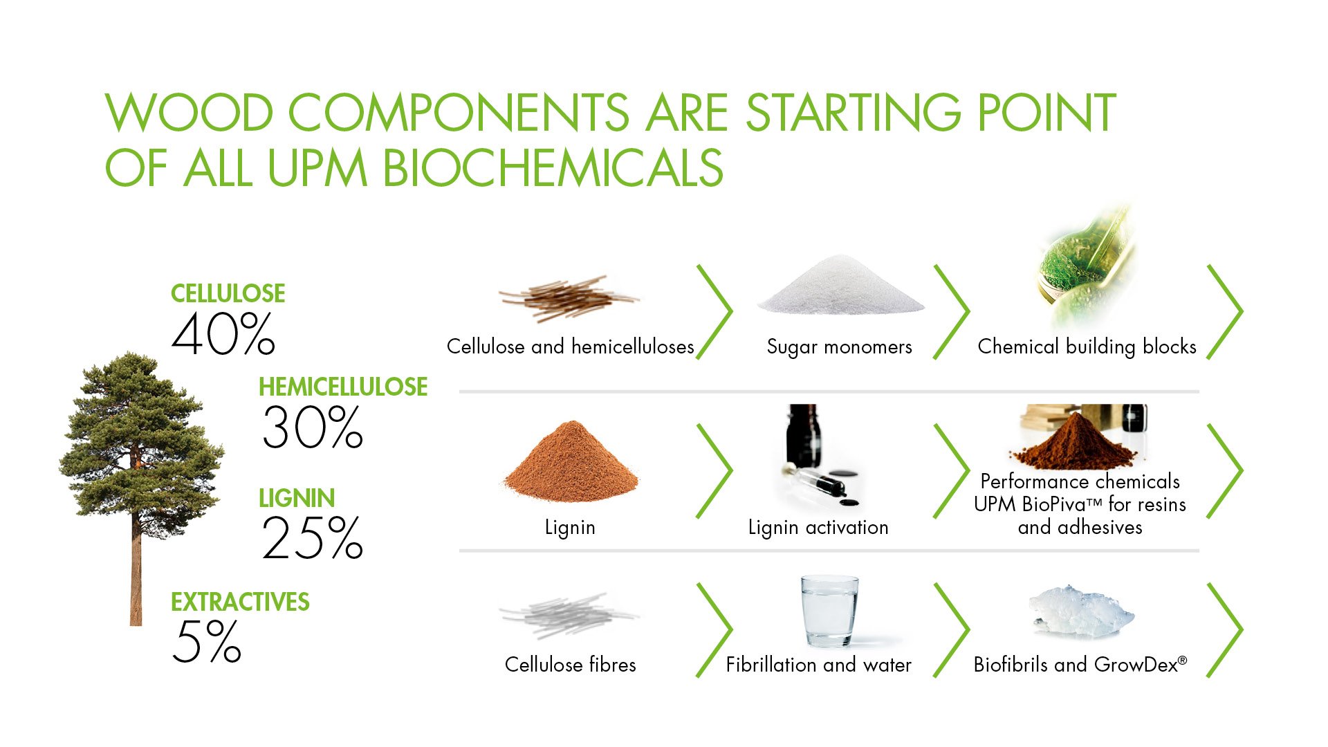 UPM_WEB_magazine_bioeconomy5_72dpi