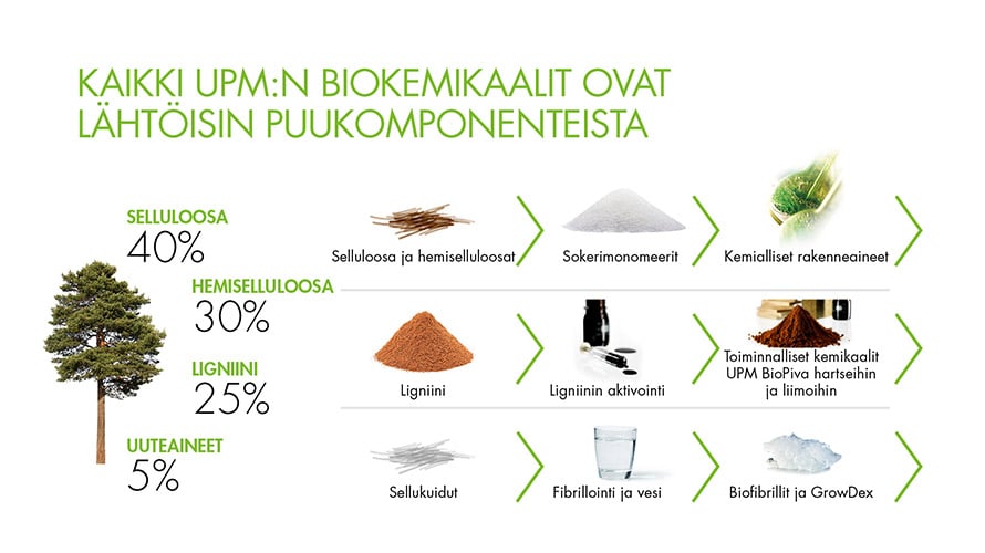 UPM_WEB_magazine_FIN_bioeconomy5