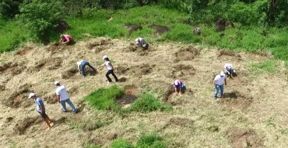 Partners at work on planting day