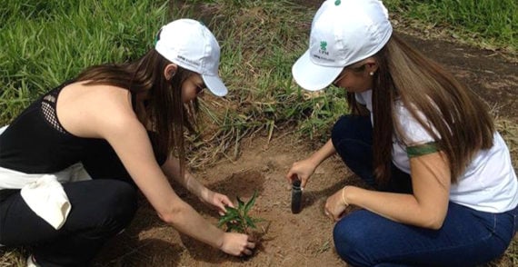 Partners at work on planting day